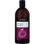 Ziaja Family Shampoo pro normální vlasy Fig 500 ml – Hledejceny.cz