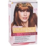 L'Oréal Excellence Creme Triple Protection 6,1 Natural Dark Ash Blonde 48 ml – Hledejceny.cz