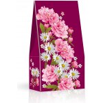 Sweet Snack pralinky 100 g – Hledejceny.cz