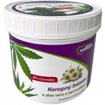 Wellife Konopný balzám s aloe vera a heřmánkem 500 ml – Hledejceny.cz