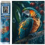 Norimpex diamantový obrázek Papoušek v dešti 30 x 40 cm – Hledejceny.cz