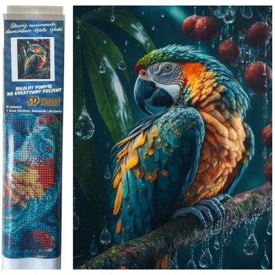 Norimpex diamantový obrázek Papoušek v dešti 30 x 40 cm – Hledejceny.cz