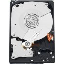 WD Gold 1TB, WD1005FBYZ