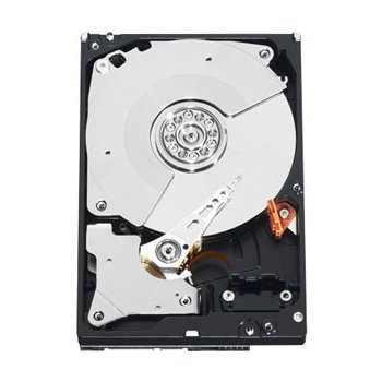 WD Gold 1TB, WD1005FBYZ