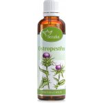Serafin Ostropestřec tinktura z byliny 50 ml – Hledejceny.cz