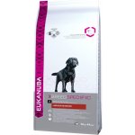 Eukanuba Labrador Retriever 12 kg – Hledejceny.cz