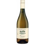 Cibulka Sauvignon Pozdní sběr 2021 13,5% 0,75 l (holá láhev) – Sleviste.cz
