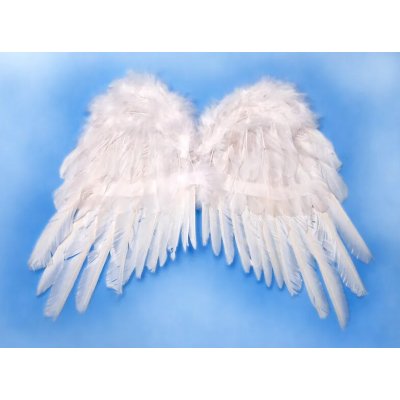 Andělská křídla bílá – Zboží Dáma