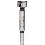 Bosch 2608596973 – Hledejceny.cz