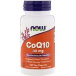 Now Foods Koenzym Q10 30 mg 120 kapslí – Hledejceny.cz