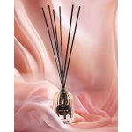 Aromatic 89 Aroma difuzér s tyčinkami Retro Diamond 50 ml – Hledejceny.cz
