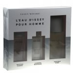 Issey Miyake L´Eau D´Issey toaletní voda pánská 40 ml – Hledejceny.cz