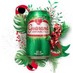 Guarana Antarctica 330 ml – Zboží Dáma