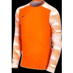 Nike Y Dry Park IV Jersey LS GK cj6072 819 – Hledejceny.cz