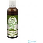 Naděje Dangšen výluh z bylin 50 ml – Hledejceny.cz
