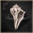 Robert Plant Lullaby and… The Ceaseless Roar