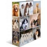 Herma Pořadač pákový 7cm A4 Psi – Zboží Mobilmania