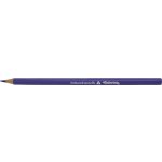 Colorino fialová R86549PTR – Sleviste.cz