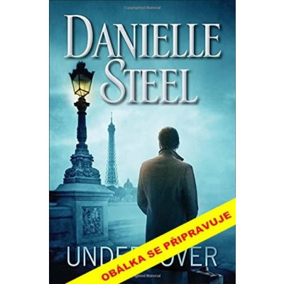 V utajení - Danielle Steel – Hledejceny.cz