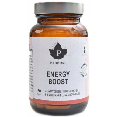 Energy Boost 60 kapslí – Hledejceny.cz