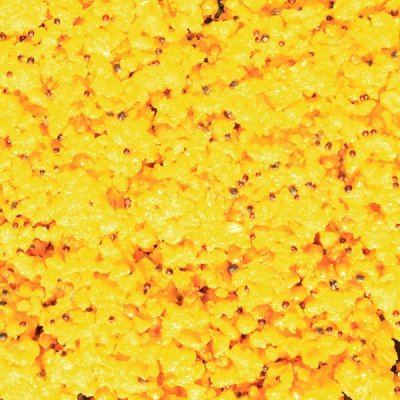 LK Baits IQ Method Feeder Turbo Mix Corn Honey 1,5kg – Zboží Mobilmania