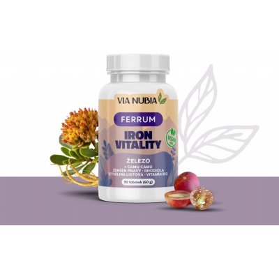 ViaNubia Iron vitality 90 kapslí – Hledejceny.cz