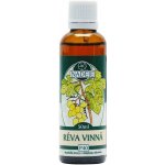 Naděje Vinná réva z pupenů 50 ml 40% – Hledejceny.cz