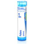 POLLENS POR 9CH GRA 1X4G – Hledejceny.cz