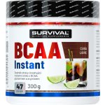 Survival BCAA Instant 300 g – Hledejceny.cz