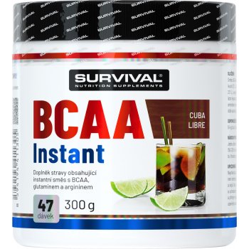 Survival BCAA Instant 300 g