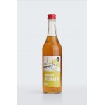 Moštárna Hostětín sirup bezový Bio 500 ml – Zboží Dáma