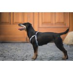 Vsepropejska Havi postroj pro psa s vodítkem – Zbozi.Blesk.cz