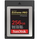 SanDisk SDC 256G SDCFE-256G-GN4NN