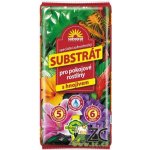 Forestina Substrát Pokojové rostliny 40 l – Hledejceny.cz