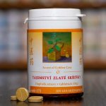 TCM Herbs Tajemství zlaté skříňky 100 tablet – Hledejceny.cz