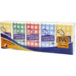 PA papírové kapesníčky 3-vrstvé 10x10 ks – Zboží Dáma
