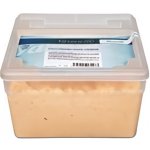 Delimax Sýrová pomazánka pikantní s česnekem 2kg – Zboží Mobilmania