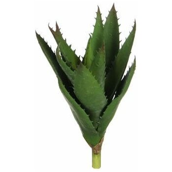 Edelman Květina Aloe vera|Ego Dekor