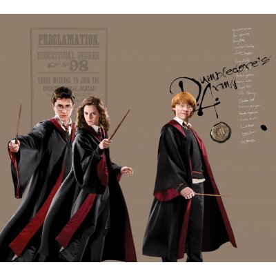 Textilní závěs Harry Potter FCSXL 6607 - 180 x 160 cm – Hledejceny.cz