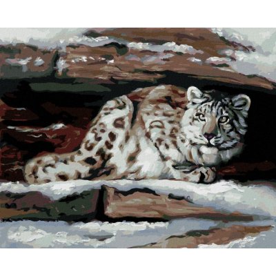 Zuty Malování Podle Čísel Sněžný Leopard V Úkrytu D. Rusty Rust 40 x 50 Cm Plátno 8596530186724 – Hledejceny.cz