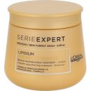 L'Oréal Expert Absolut Repair Lipidium Mask 250 ml