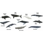 Safari Ltd. Tuba Velryby – Sleviste.cz