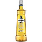 Puschkin Time Warp 17,7% 1 l (holá láhev) – Hledejceny.cz