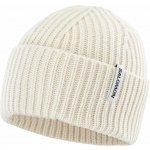 Salomon Snowbird beanie LC2629600 whisper white – Hledejceny.cz
