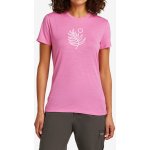 ICEBREAKER Dámské merino tričko s krátkým rukávem Wmns 150 Tech Lite SS Tee Fresh Fern Pop – Zboží Dáma