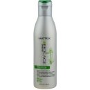 Matrix Biolage Fiberstrong Shampoo 250 ml