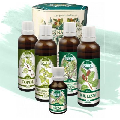 Naděje Mgr. Jarmila Podhorná Naděje Kúra K21 pro podporu kloubního a pohybového aparátu 225 ml – Hledejceny.cz