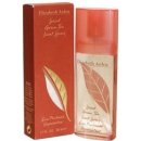 Elizabeth Arden Green Tea Spiced parfémovaná voda dámská 50 ml