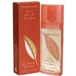 Elizabeth Arden Green Tea Spiced parfémovaná voda dámská 50 ml – Hledejceny.cz