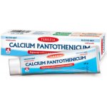 Terezia Calcium pantothenicum mast 30 g – Zbozi.Blesk.cz